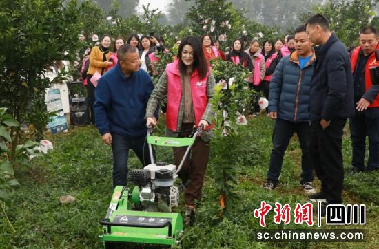 培训现场。蒲江县妇联 供图 培训现场。蒲江县妇联 供图