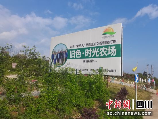 黄波返乡创业打造的农场。邮储银行广安区支行 供图 黄波返乡创业打造的农场。邮储银行广安区支行 供图