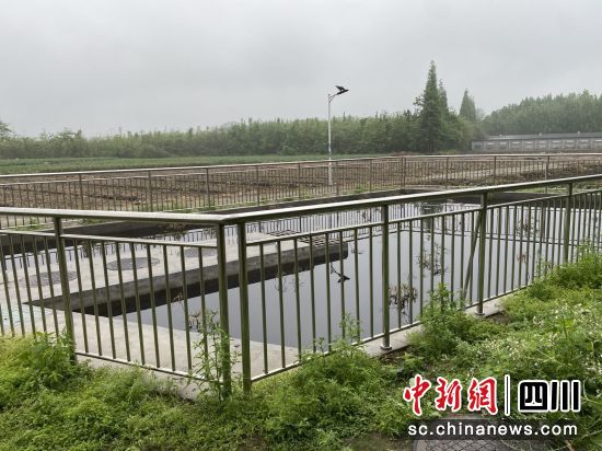农村生活污水处理设施。 什邡市雍城街道供图 农村生活污水处理设施。 什邡市雍城街道供图