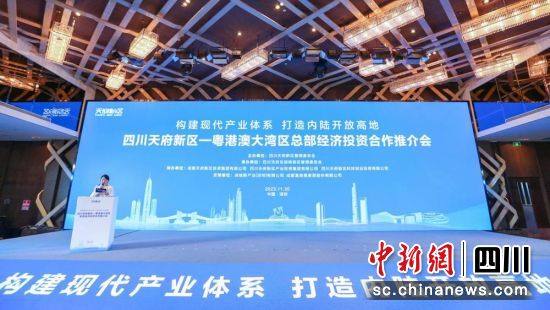 推介会现场。四川天府新区管委会 供图 推介会现场。四川天府新区管委会 供图
