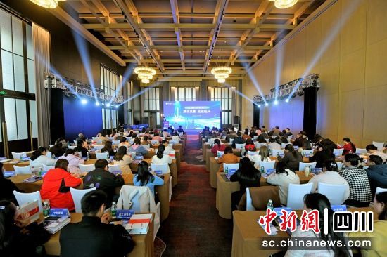 活动现场。中信银行成都分行 供图 活动现场。中信银行成都分行 供图