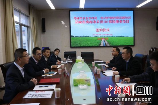 座谈会现场。人保财险川分 供图 座谈会现场。人保财险川分 供图