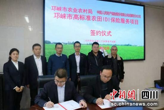 签约仪式现场。人保财险川分 供图 签约仪式现场。人保财险川分 供图