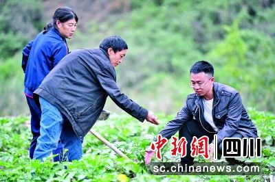 在汶川县漩口镇小麻溪村,四川农业大学农艺和种业专业硕士毕业生林郸(右)指导村民科学播种。汶川县委宣传部 供图 在汶川县漩口镇小麻溪村,四川农业大学农艺和种业专业硕士毕业生林郸(右)指导村民科学播种。汶川县委宣传部 供图