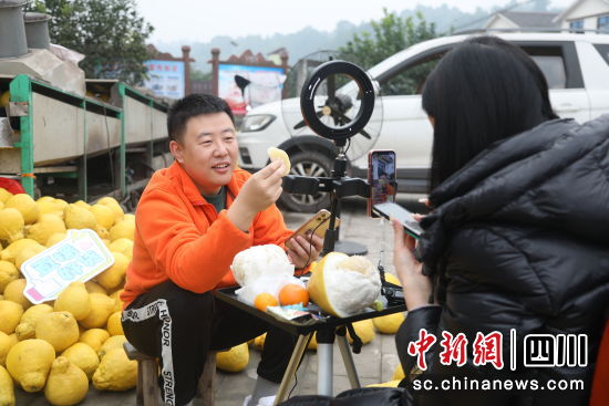 助农推荐官助力真龙柚销路不愁。合江县融媒体中心供图 助农推荐官助力真龙柚销路不愁。合江县融媒体中心供图