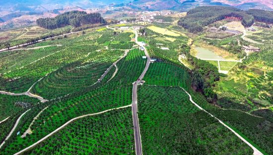 丹橙现代农业园区核心区的红石村。彭川 摄 丹橙现代农业园区核心区的红石村。彭川 摄