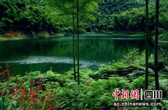 寿山湖生态研学区。蜀南文旅集团 供图 寿山湖生态研学区。蜀南文旅集团 供图