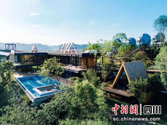 树蛙部落。泸州市文化广播电视和旅游局供图 树蛙部落。泸州市文化广播电视和旅游局供图
