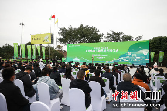 茶业电商直播基地开园仪式现场。叶昌荣 摄 茶业电商直播基地开园仪式现场。叶昌荣 摄