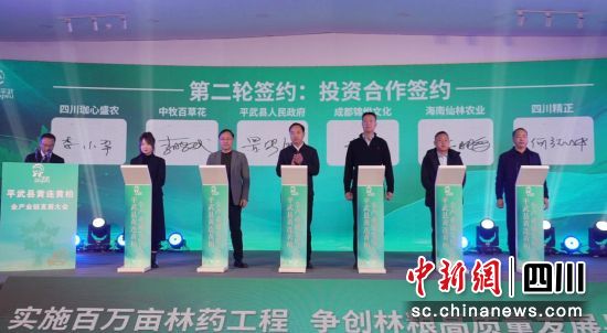 签约仪式。 平武县委宣传部供图 签约仪式。 平武县委宣传部供图