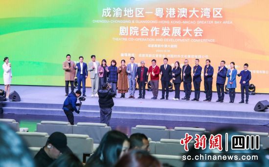 成渝地区与粤港澳大湾区剧院合作发展大会现场。(成都高新中演大剧院 供图) 成渝地区与粤港澳大湾区剧院合作发展大会现场。(成都高新中演大剧院 供图)