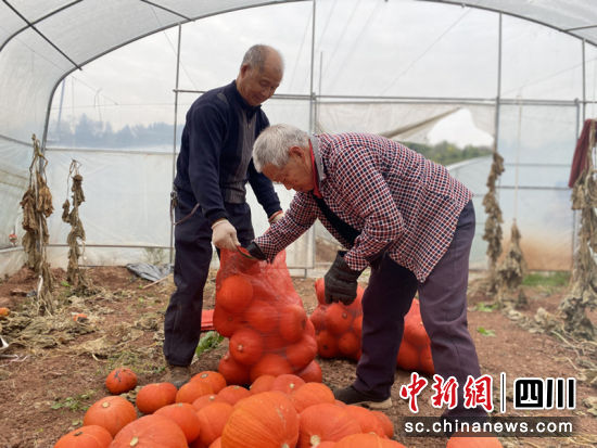 正在打包。宋林 摄 正在打包。宋林 摄
