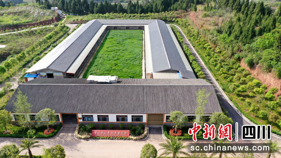 营山黑山羊种羊繁育场。杨汉国 摄 营山黑山羊种羊繁育场。杨汉国 摄