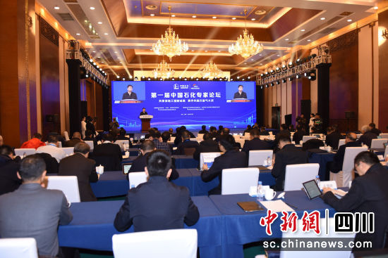 第一届中国石化专家论坛现场。罗卫东 摄 第一届中国石化专家论坛现场。罗卫东 摄