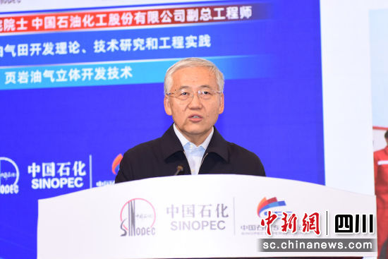 中国工程院院士孙焕泉作主题演讲。罗卫东 摄 中国工程院院士孙焕泉作主题演讲。罗卫东 摄