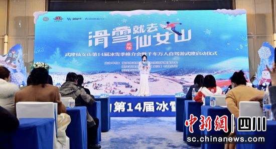 推介会现场。(仙女山景区 供图) 推介会现场。(仙女山景区 供图)