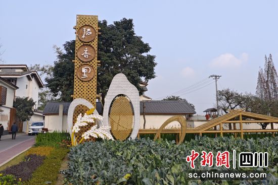 青神县新光村“稻香里”。陈选斌 摄 青神县新光村“稻香里”。陈选斌 摄