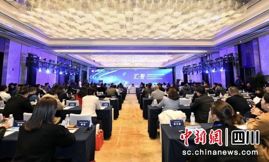 探讨交流会现场。四川西部融资服务中心 供图 探讨交流会现场。四川西部融资服务中心 供图