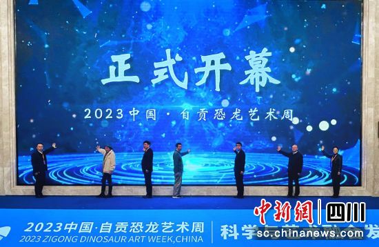 开幕式现场。大安融媒 供图 开幕式现场。大安融媒 供图