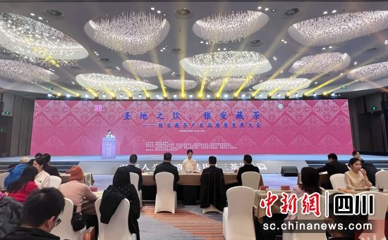 会议现场。雨城融媒 供图 会议现场。雨城融媒 供图