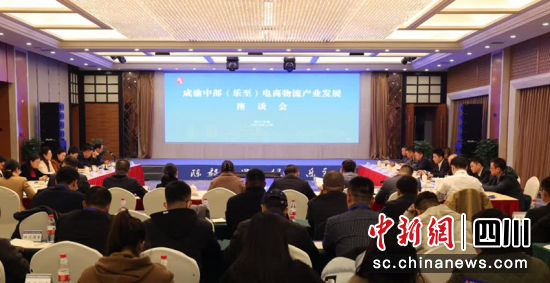 成渝中部(乐至)电商物流产业发展座谈会现场。姚阳 摄 成渝中部(乐至)电商物流产业发展座谈会现场。姚阳 摄
