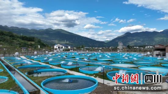 在养殖区内,一百余个蓝色鱼池排列整齐。中铁八局七公司 供图 在养殖区内,一百余个蓝色鱼池排列整齐。中铁八局七公司 供图