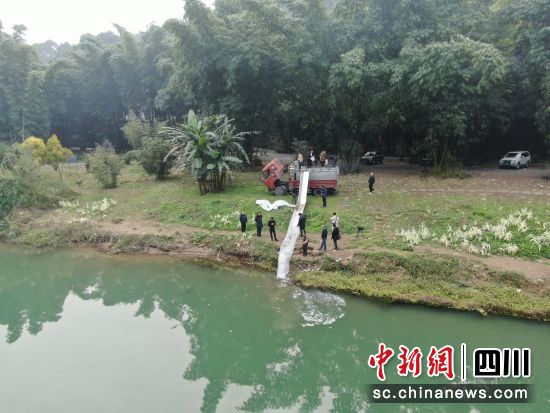增殖放流现场。长宁县融媒体中心供图。 增殖放流现场。长宁县融媒体中心供图。