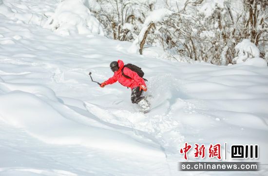 西岭雪山景区供图 西岭雪山景区供图