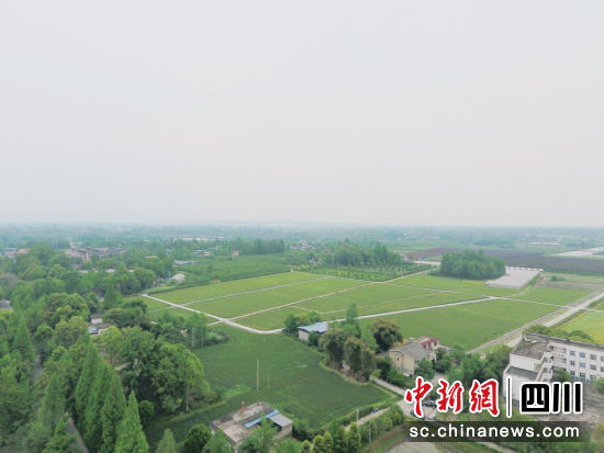 航拍都江堰市高标准农田项目。中铁八局 供图 航拍都江堰市高标准农田项目。中铁八局 供图