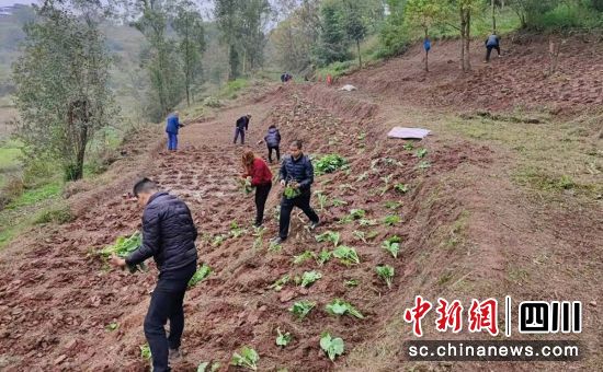 复耕现场。沿滩融媒 供图 复耕现场。沿滩融媒 供图