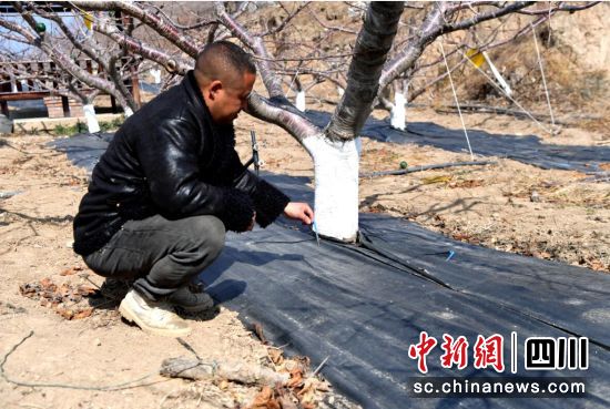 九耕农业水肥一体滴灌系统。汶川县委宣传部 供图 九耕农业水肥一体滴灌系统。汶川县委宣传部 供图