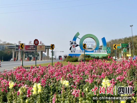 翠屏多地花团锦簇。朱思雨 摄 翠屏多地花团锦簇。朱思雨 摄