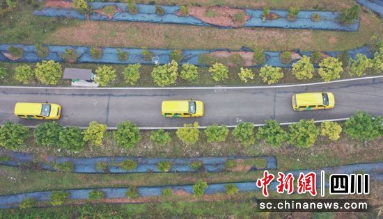 三辆“金通工程”农村客运车正行驶在公路上。周亮摄 三辆“金通工程”农村客运车正行驶在公路上。周亮摄