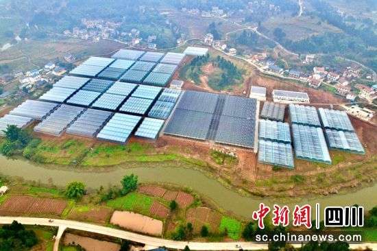安岳蔬菜示范基地竣工验收。成都益民集团供图 安岳蔬菜示范基地竣工验收。成都益民集团供图