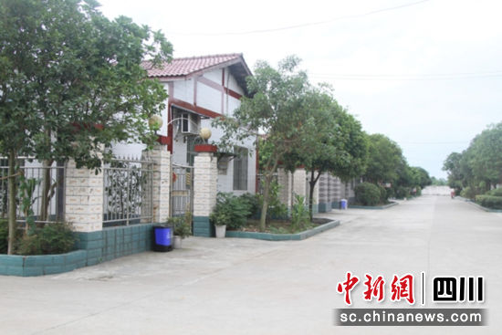 农村人居环境干净整洁。 旌阳区融媒体中心供图 农村人居环境干净整洁。 旌阳区融媒体中心供图