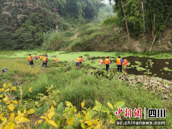 河湖治理。江阳区融媒体中心供图 河湖治理。江阳区融媒体中心供图