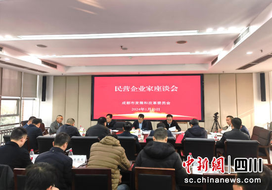 座谈会现场。成都市发改委 供图 座谈会现场。成都市发改委 供图
