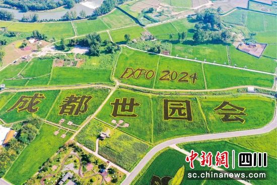 成都世园会郫都分会场。郫都区融媒体中心 供图 成都世园会郫都分会场。郫都区融媒体中心 供图
