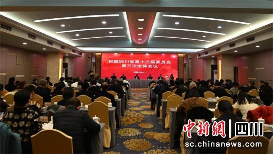会议现场。民盟四川省委会供图 会议现场。民盟四川省委会供图