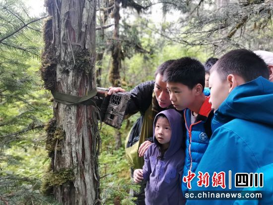 孩子们观察野外红外相机。 平武县委宣传部供图 孩子们观察野外红外相机。 平武县委宣传部供图