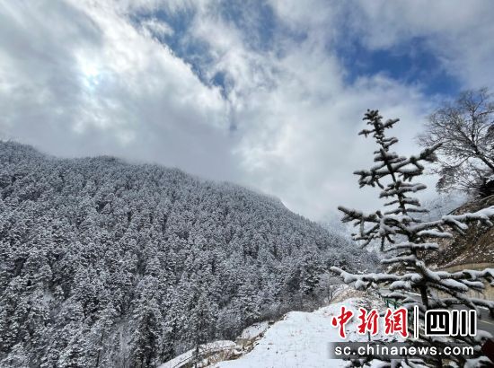 雪后的阿尔沟犹如冰雪世界。 雪后的阿尔沟犹如冰雪世界。