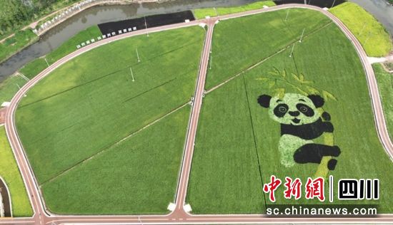 陇西河粮油现代农业园区。雨城融媒 供图 陇西河粮油现代农业园区。雨城融媒 供图