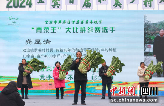 “青菜王”大比拼。叶昌荣 摄 “青菜王”大比拼。叶昌荣 摄