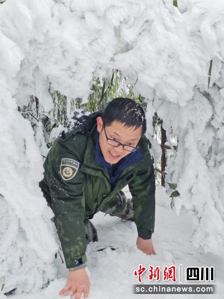 工作人员在雪中爬行。胡姜伟 摄 工作人员在雪中爬行。胡姜伟 摄