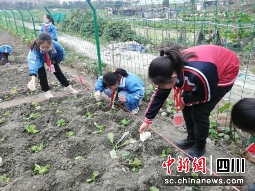 活动现场。郫都区红光街道办事处 供图 活动现场。郫都区红光街道办事处 供图