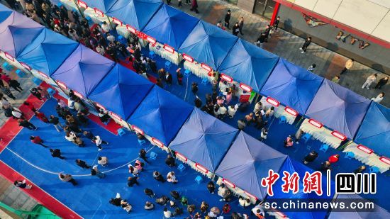 2024年“春风行动”大型现场招聘会现场。杨尚威 摄 2024年“春风行动”大型现场招聘会现场。杨尚威 摄