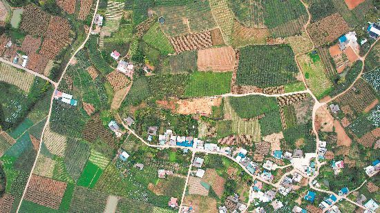 凉山盐源老龙头墓地全景及发掘区 凉山盐源老龙头墓地全景及发掘区