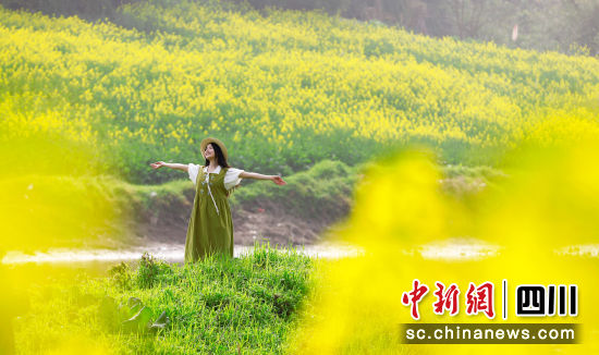 油菜花开田野美如画。江安县融媒体中心供图 油菜花开田野美如画。江安县融媒体中心供图