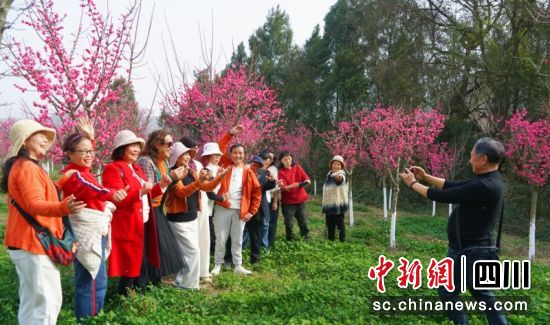游客现场赏梅。西充县委宣传部供图 游客现场赏梅。西充县委宣传部供图