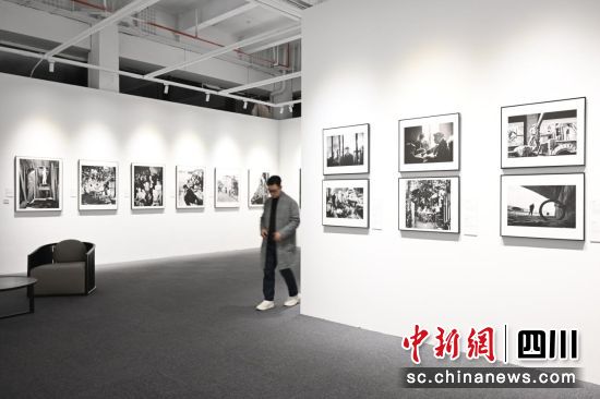 摄影展一览。(成都天府艺术公园 供图) 摄影展一览。(成都天府艺术公园 供图)